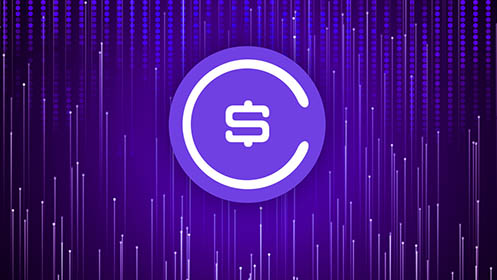 Snipcoins Project